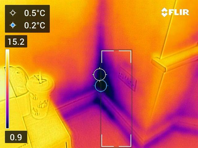 regal property services black spot mould diagnosis manchester thermal imaging